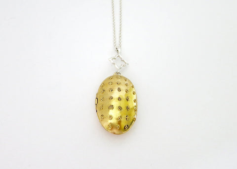 Beautiful, Victorian-era inspired, bi-metal locket pendant in gold-plated brass and sterling silver - Lai