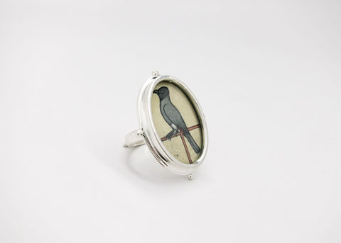 Sophisticated, subtle, and serene, Koel (bird) ring - Lai