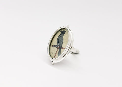 Sophisticated, subtle, and serene, Koel (bird) ring - Lai